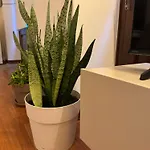 Loft 84 דירה *