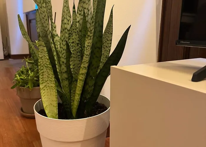 Διαμέρισμα Loft 84 *